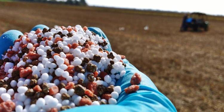 Tironeos con el Banco Central: Las empresas de insumos dan por normalizado el abastecimiento, y a dólar oficial