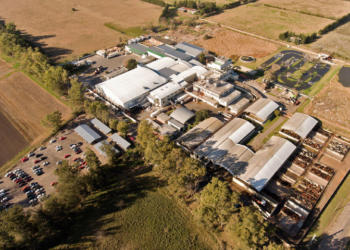 El frigorífico Gorina invertirá 5 millones de dólares para montar un reactor de biogás a partir de sus efluentes