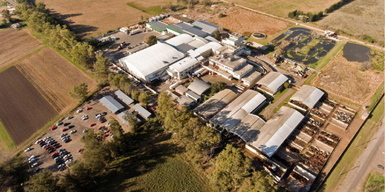 El frigorífico Gorina invertirá 5 millones de dólares para montar un reactor de biogás a partir de sus efluentes