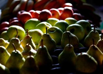 Se vencieron las leyes de Emergencia para diversas economías frutícolas: Buscan una prórroga para evitar quiebras masivas