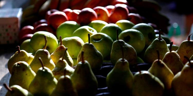 Se vencieron las leyes de Emergencia para diversas economías frutícolas: Buscan una prórroga para evitar quiebras masivas