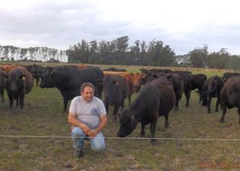 Sin culpables: Marcelo Gianoli produce en la capital nacional del ternero, que está asediada por los casos de abigeato