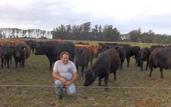 Sin culpables: Marcelo Gianoli produce en la capital nacional del ternero, que está asediada por los casos de abigeato