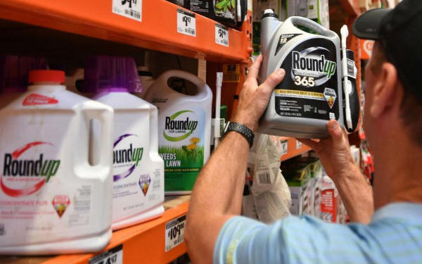 Requiem al Glifosato: Bayer pagará una fortuna para cancelar la ola de juicios contra la ex Monsanto