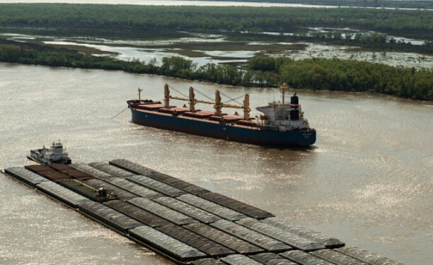 Mitos y verdades sobre Vicentin y las barcazas de soja que bajan por la hidrovía del Río Paraná