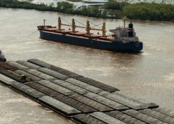 Mitos y verdades sobre Vicentin y las barcazas de soja que bajan por la hidrovía del Río Paraná