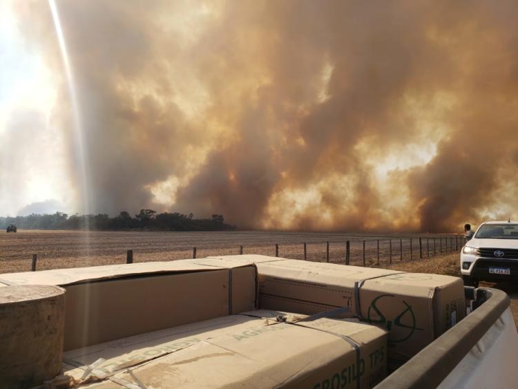 ¿Fue intencional? Un incendio consumió 1.350 hectáreas y una familia productora perdió maíz y soja por casi 1 millón de dólares