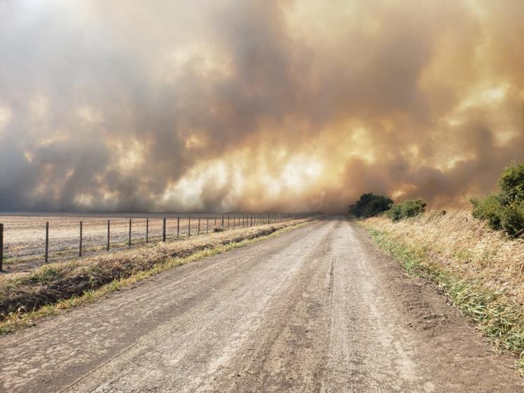¿Fue intencional? Un incendio consumió 1.350 hectáreas y una familia productora perdió maíz y soja por casi 1 millón de dólares