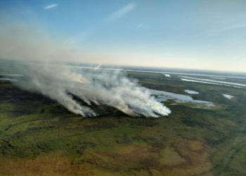 ¿Por qué nadie le preguntó a los productores sobre los incendios en las islas? “Nosotros no somos los que quemamos”, afirma Enrique Goset