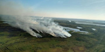 ¿Por qué nadie le preguntó a los productores sobre los incendios en las islas? “Nosotros no somos los que quemamos”, afirma Enrique Goset