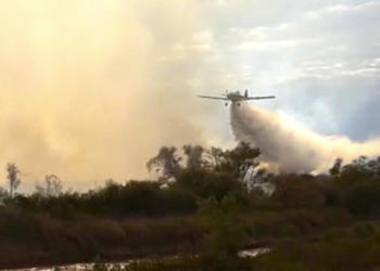 ¿Por qué nadie le preguntó a los productores sobre los incendios en las islas? “Nosotros no somos los que quemamos”, afirma Enrique Goset