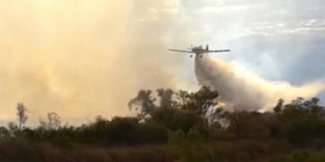 ¿Por qué nadie le preguntó a los productores sobre los incendios en las islas? “Nosotros no somos los que quemamos”, afirma Enrique Goset