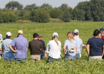 Si se reproduce como los conejos, el programa Ravit promete plagar de conocimiento a cualquier tipo de productor