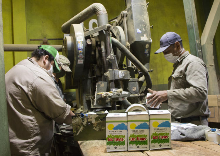 La cooperativa Las Tunas logra permanecer vendiendo directo al consumidor una yerba mate de calidad, estacionada hasta 18 meses