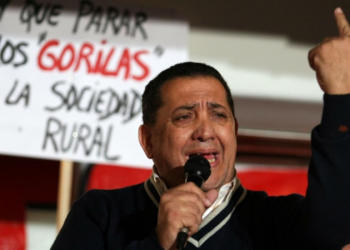 Un Luis D´Elía moderado no quiere repetir la pelea de 2008 y pide un punto medio para Vicentin: “Ni la nacionalización del comercio exterior ni el Estado ausente”