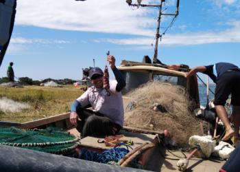Rodrigo García Píngaro promueve cambiar las redes por jaulas: “Con el actual sistema de pesca mueren 12 mil tiburones por hora”
