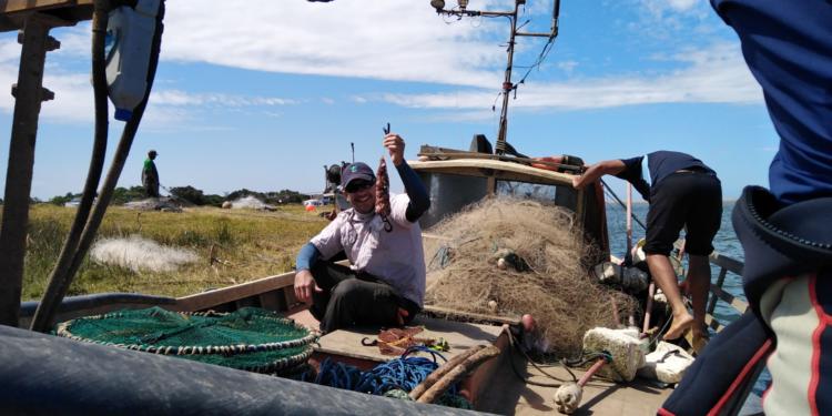 Rodrigo García Píngaro promueve cambiar las redes por jaulas: “Con el actual sistema de pesca mueren 12 mil tiburones por hora”