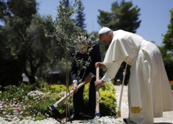 “Hagan lío”, dijo el Papa Francisco. Y así inspiró a Juan Cabandié para lanzar un plan que promoverá la agroecología y la economía circular