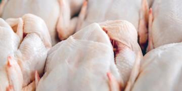 Con el pollo tocando un récord histórico de 50 kilos anuales, es muy alto el consumo interno de carnes en medio de la cuarentena