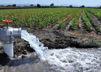 ¡Falta el agua! En San Juan perforan 100 nuevos pozos ante las escasas nevadas en la Cordillera