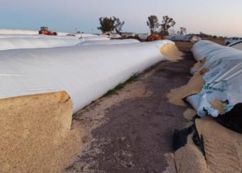 Breve pero contundente reclamo de la cadena agropecuaria por los ataques a silobolsas y otros casos de inseguridad