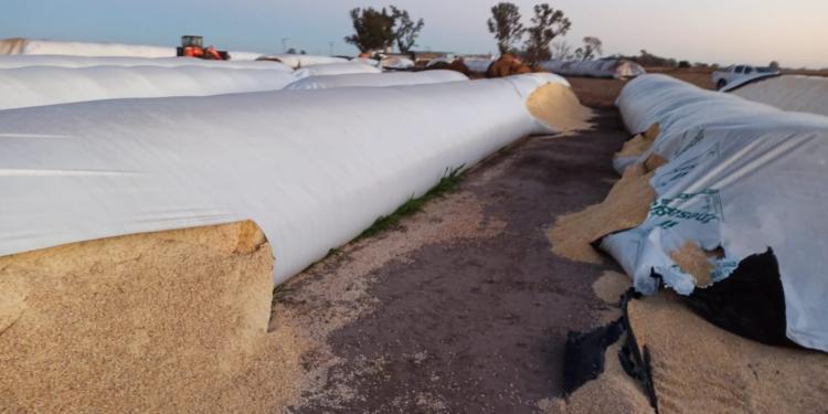 Breve pero contundente reclamo de la cadena agropecuaria por los ataques a silobolsas y otros casos de inseguridad