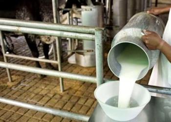 Un experto de la Fauba advierte que podrían ajustarse a la baja los precios al tambero