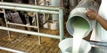 Un experto de la Fauba advierte que podrían ajustarse a la baja los precios al tambero