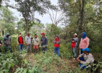 Por hacerse el gallito: Allanamiento judicial a una finca de Embarcación que se negaba a permitir una inspección laboral
