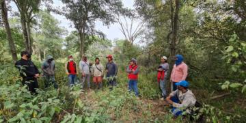 Por hacerse el gallito: Allanamiento judicial a una finca de Embarcación que se negaba a permitir una inspección laboral