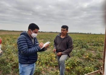 Por hacerse el gallito: Allanamiento judicial a una finca de Embarcación que se negaba a permitir una inspección laboral