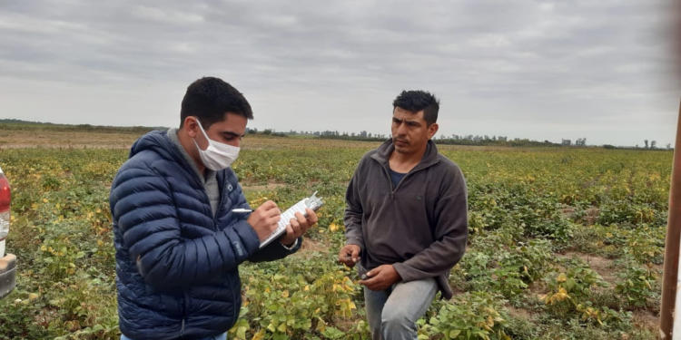 Por hacerse el gallito: Allanamiento judicial a una finca de Embarcación que se negaba a permitir una inspección laboral