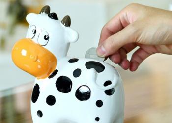 La ganadería como refugio: En el último año los terneros aumentaron el doble que los novillos