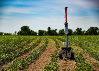 Los robots de uso agrícola ya son una realidad: Llegan a combatir las malezas resistentes de forma económica y libre de químicos 