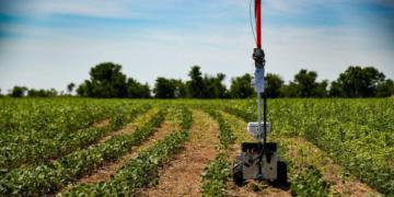 Los robots de uso agrícola ya son una realidad: Llegan a combatir las malezas resistentes de forma económica y libre de químicos 