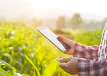 Convocatoria oficial a los emprendedores digitales: El gobierno quiere posicionar a la Argentina como referente global en Agtech