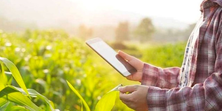 Convocatoria oficial a los emprendedores digitales: El gobierno quiere posicionar a la Argentina como referente global en Agtech