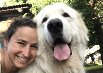 Georgina adiestra perros protectores de ganado: “El manejo es muy diferente al que solemos tener con la mayoría de los perros”