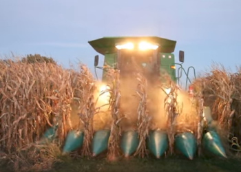 Martín López, de la Bolsa de Cereales: “Para estimar la próxima campaña gruesa todavía estamos mirando mucho el clima”
