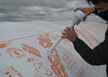 El caso Smartium Agro: Una apuesta a un campo inteligente, repleto de sensores que “hagan hablar” a vacas y cultivos