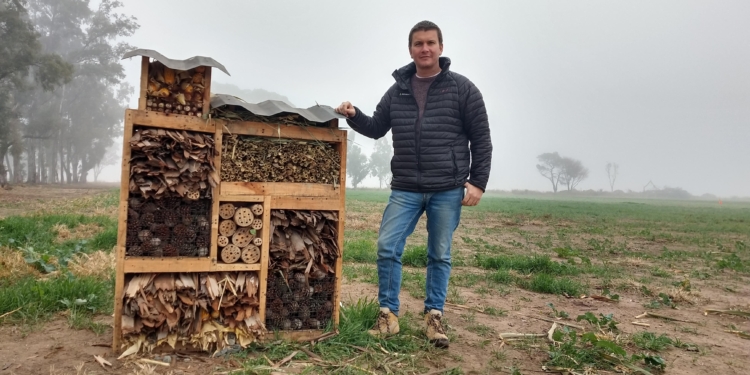 Las abejas y arañas hacen el check in: ¿Cómo funcionan los hoteles para insectos que promueve el agrónomo Lucas Andreoni?