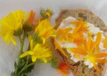 Sabores y saberes: En contra de la comida chatarra, Marita Montagnani reparte recetas para comer de modo sano y colorido