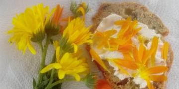 Sabores y saberes: En contra de la comida chatarra, Marita Montagnani reparte recetas para comer de modo sano y colorido