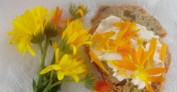 Sabores y saberes: En contra de la comida chatarra, Marita Montagnani reparte recetas para comer de modo sano y colorido