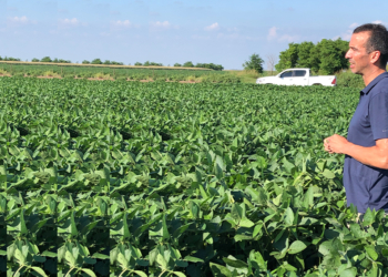 Ignacio Eguren cambió la vieja libreta del agrónomo por AgroPro, una plataforma para ordenar la tarea diaria de productores y asesores agrícolas