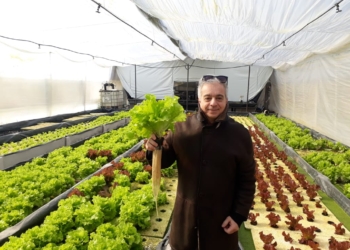 Horticultura 4.0: Daniel Tawil promueve poner sensores desde el invernadero hasta la góndola