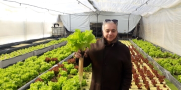 Horticultura 4.0: Daniel Tawil promueve poner sensores desde el invernadero hasta la góndola