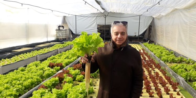 Horticultura 4.0: Daniel Tawil promueve poner sensores desde el invernadero hasta la góndola
