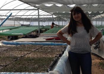 Stella Zapata logra trabajar bajo hidroponia en Neuquén: “La última inversión en cobertores se la llevó toda el viento”