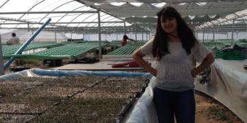 Stella Zapata logra trabajar bajo hidroponia en Neuquén: “La última inversión en cobertores se la llevó toda el viento”